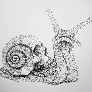 Pen & ink snail skull drawing